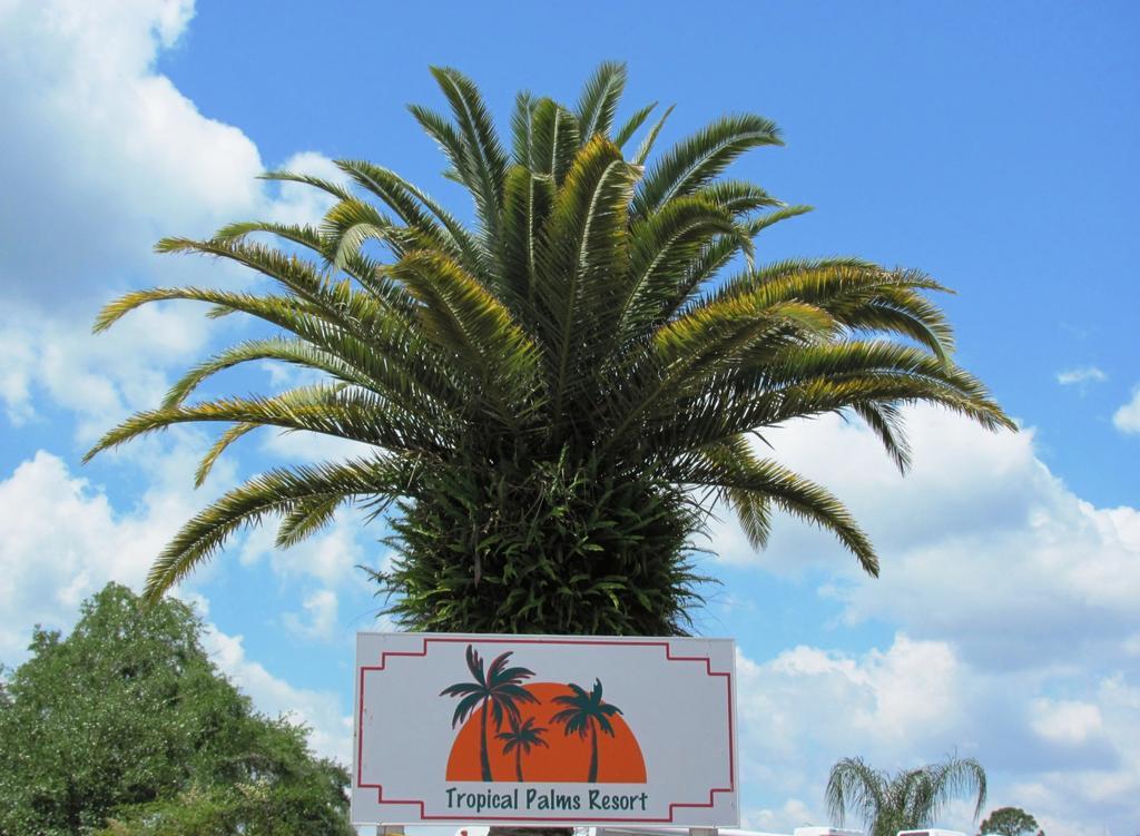 Tropical Palms Resort & Campground Kissimmee Kültér fotó